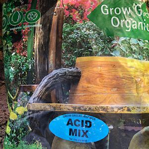 GrowGreen ericaceous acid compost