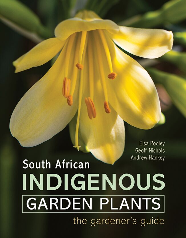 South African Indigenous Garden Plants the gardeners guide
