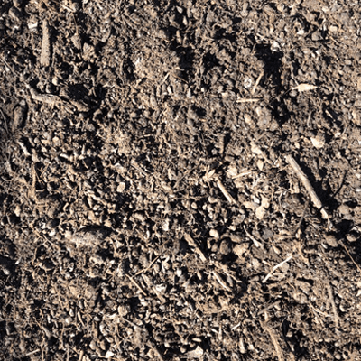 Medium compost for sale