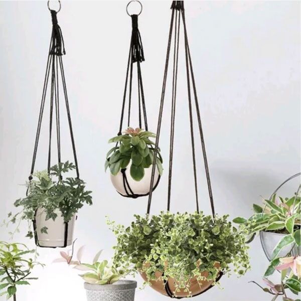 Plant hangers South Africa