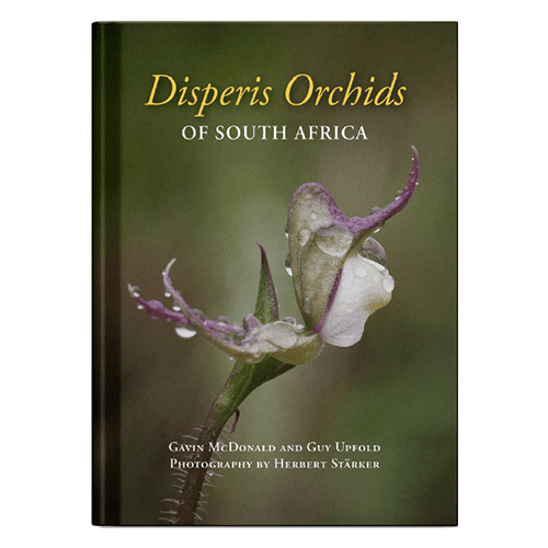 Disperis Orchids of South Africa book for sale online.